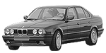 BMW E34 P0A94 Fault Code